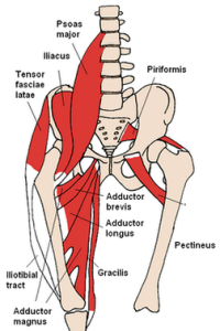 lumbopelvic hip complex