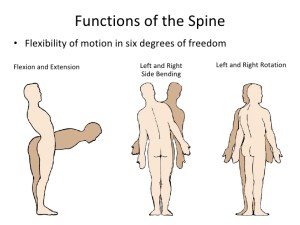 Functions of the Spine